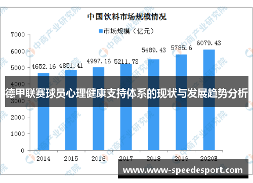 德甲联赛球员心理健康支持体系的现状与发展趋势分析