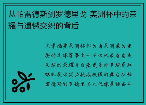 从帕雷德斯到罗德里戈 美洲杯中的荣耀与遗憾交织的背后