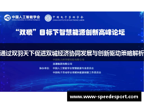 通过双羽天下促进双城经济协同发展与创新驱动策略解析
