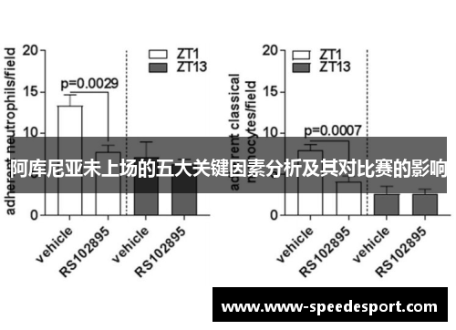 阿库尼亚未上场的五大关键因素分析及其对比赛的影响 阿库尼亚未上场的五大关键因素分析及其对比赛的影响